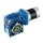 Worm Gear Motors