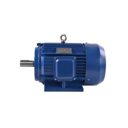3 hp (2.2kW) 3 phase 2 pole AC Induction Motor 3 hp (2.2kW) 3 phase 2 pole AC Induction Motor