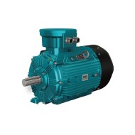 1.5hp (1kW) Explosion Proof Motor, 380V, 2P/ 3P/ 4P 1.5hp (1kW) Explosion Proof Motor, 380V, 2P/ 3P/ 4P