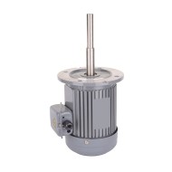 1/3 hp 160mm Long Shaft Induction Motor, 2700 rpm 1/3 hp 160mm Long Shaft Induction Motor, 2700 rpm