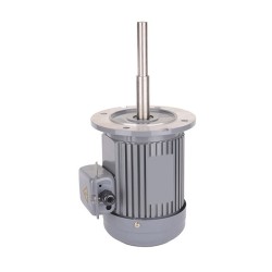 1/3 hp 160mm Long Shaft Induction Motor, 2700 rpm 1/3 hp 160mm Long Shaft Induction Motor, 2700 rpm