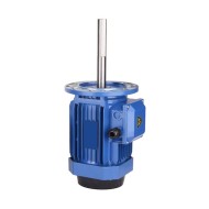 1.5 hp 180mm Long Shaft Induction Motor, 2800 rpm 1.5 hp 180mm Long Shaft Induction Motor, 2800 rpm