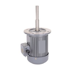 1 hp/2 hp 180mm Long Shaft Induction Motor 2800 rpm 1 hp/2 hp 180mm Long Shaft Induction Motor 2800 rpm