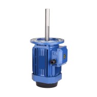 2/3/5 hp 200mm Long Shaft Induction Motor, 2900 rpm 2/3/5 hp 200mm Long Shaft Induction Motor, 2900 rpm