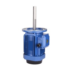 2/3/5 hp 200mm Long Shaft Induction Motor, 2900 rpm 2/3/5 hp 200mm Long Shaft Induction Motor, 2900 rpm