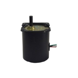 75 rpm AC Synchronous Gear Motor 24V/110V/220V 75 rpm AC Synchronous Gear Motor 24V/110V/220V