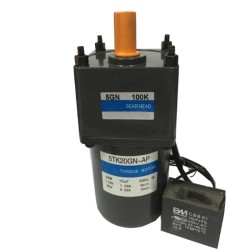 20 W AC Gear Motor, Torque  Motor with Gearbox, single phase 20 W AC Gear Motor, Torque  Motor with Gearbox, single phase