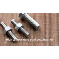 China Duplex Steel 32750 32760 2205 2304 2520 2507 F55 hex nut China Duplex Steel 32750 32760 2205 2304 2520 2507 F55 hex nut