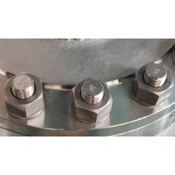 M50 Project use fasteners ASTMA194Gr8 304  heavy hex nut