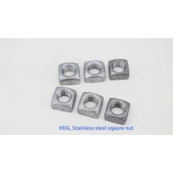 Square Nut - DIN 557 - Stainless Steel 304/316 - M6, M8