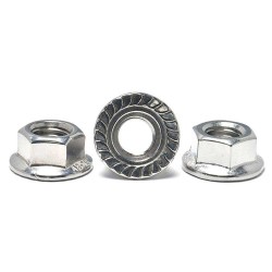 Bolt And Nut Serrated Flange Hex Lock Nuts 304 316 Stainless Steel Full Thread Hex Drive Serrated Hex Bolt Flange Nuts