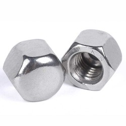 Hexagon Cap Nuts M10/M12 SUS304 DIN 917  Hexagon Cap Nuts M10/M12 SUS304 DIN 917