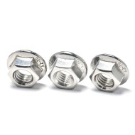 Serrated Stainless Steel Nuts Flange Hex Lock Nuts 304 Stainless Steel Hex Drive Bright Finish M8 M10 Flange Bolt And Nuts Serrated Stainless Steel Nuts Flange Hex Lock Nuts 304 Stainless Steel Hex Drive Bright Finish M8 M10 Flange Bolt And Nuts