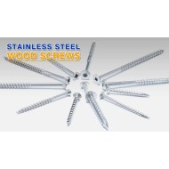 Zinc Plated Stainless Steel Torx Pan/CSK Head Self-Tapping Wood Screws Zinc Plated Stainless Steel Torx Pan/CSK Head Self-Tapping Wood Screws