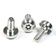 Torx Pin Binding Head Shoulder Screws - Customized SS304/316 or Zinc Plated Torx Pin Binding Head Shoulder Screws - Customized SS304/316 or Zinc Plated