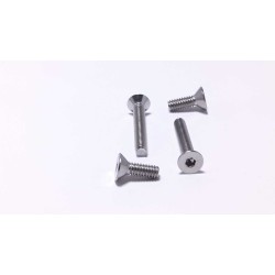 DIN7991 Flat Headed Hex Socket CSK Head Machine Screws - SS304/316 M4/M5/M6/M8 DIN7991 Flat Headed Hex Socket CSK Head Machine Screws - SS304/316 M4/M5/M6/M8