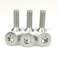 ANSI/ASME B18.3F 6#-32 x 1-1/4-Inch Stainless Steel 304 Torx Screw - Customized ANSI/ASME B18.3F 6#-32 x 1-1/4-Inch Stainless Steel 304 Torx Screw - Customized