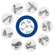 Bolt Nut - High Quality M6, M8, M10, M12 SS 304/316 Stainless Steel Screws/Fasteners Bolt Nut - High Quality M6, M8, M10, M12 SS 304/316 Stainless Steel Screws/Fasteners