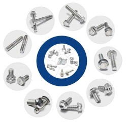 Bolt Nut - High Quality M6, M8, M10, M12 SS 304/316 Stainless Steel Screws/Fasteners