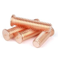 M6/M8/ M10 Brass Copper-Plated Stud Welding Screws & Nuts M6/M8/ M10 Brass Copper-Plated Stud Welding Screws & Nuts