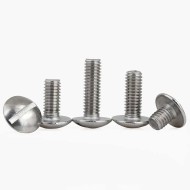 M6 x 14 Stainless Steel A2-70 Slotted Truss Head Machine Screw M6 x 14 Stainless Steel A2-70 Slotted Truss Head Machine Screw
