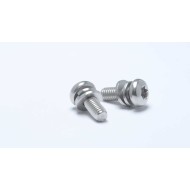 Torx Pan Head SEMS Assembly Screw - M3/M4/M5/M6  - Stainless Steel with Flat & Spring Washers Torx Pan Head SEMS Assembly Screw - M3/M4/M5/M6  - Stainless Steel with Flat & Spring Washers
