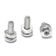 Torx Pan Head SEMS Assembly Screw - M3/M4/M5/M6  - Stainless Steel with Flat & Spring Washers Torx Pan Head SEMS Assembly Screw - M3/M4/M5/M6  - Stainless Steel with Flat & Spring Washers