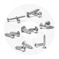 Comprehensive SS304 CSK Button Pan Head Torx/HY Drive Self-Tapping Security Screw Comprehensive SS304 CSK Button Pan Head Torx/HY Drive Self-Tapping Security Screw