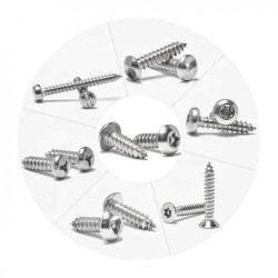 Comprehensive SS304 CSK Button Pan Head Torx/HY Drive Self-Tapping Security Screw Comprehensive SS304 CSK Button Pan Head Torx/HY Drive Self-Tapping Security Screw
