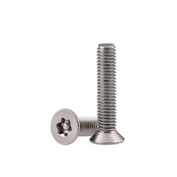 8.8 Grade Torx Security Screw - Tapping Security Bolts
