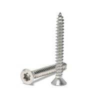 ISO14586 GB2670.2 Countersunk Flat Head Torx Self Tapping Security Screw SS304/316 - Torx Feature ISO14586 GB2670.2 Countersunk Flat Head Torx Self Tapping Security Screw SS304/316 - Torx Feature