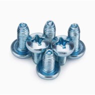ISO 7380 Nylon Patch Passivated 316 Stainless Steel Pan Head Trigonodont Thread Screws ISO 7380 Nylon Patch Passivated 316 Stainless Steel Pan Head Trigonodont Thread Screws