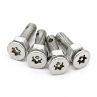 M8 x 25 Stainless Steel Flat Head Torx A2 Anti-Theft Bolts & M3 x 5 Screw M8 x 25 Stainless Steel Flat Head Torx A2 Anti-Theft Bolts & M3 x 5 Screw