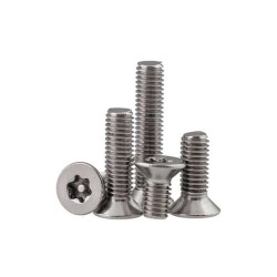M2 x 5mm Security Screw - Fasteners for Security Cameras M2 x 5mm Security Screw - Fasteners for Security Cameras