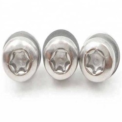 304/316 Stainless Steel Socket Head Torx Pin Machine Screws - Auto Parts Safety Screws