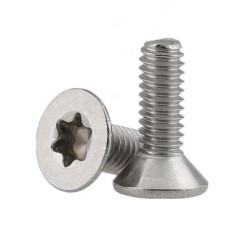 Stainless Steel Custom Security Screw - Picture Frame T-Screw & Security Hanger Tool