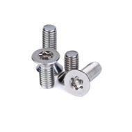 Stainless Steel Pan Head Security Screw - Torx Groove Pan Head Stainless Steel Pan Head Security Screw - Torx Groove Pan Head