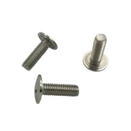 Stainless Steel Pig Nose Self-Drilling Security Screw Stainless Steel Pig Nose Self-Drilling Security Screw