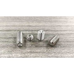 Anti-Rust Stainless Steel M3-M6 Torx Pin Cup Point Grub Screws