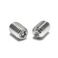 Anti-Rust Stainless Steel M3-M6 Torx Pin Cup Point Grub Screws Anti-Rust Stainless Steel M3-M6 Torx Pin Cup Point Grub Screws