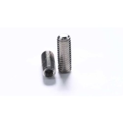 Stainless Steel 304/316 Anti-Rust DIN913 Flat Point Hex Socket Grub Screws