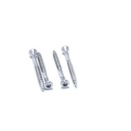 CSK Torx Head Double Thread Terrace Screws - SS 304/316 Stainless Steel CSK Torx Head Double Thread Terrace Screws - SS 304/316 Stainless Steel