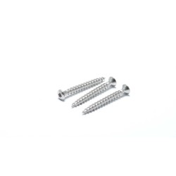 Trox Socket Oval Head Wood Screws - SS 410 ST6/ST8/ST10 Stainless Steel for Terraced Board