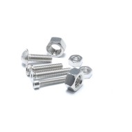 Various Types Hex Socket Screws and Nuts - SS304/SS316 Stainless Steel Various Types Hex Socket Screws and Nuts - SS304/SS316 Stainless Steel