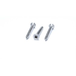 Square Socket Robertson Wood Screw - ST5/ST6/ST8/ST10 Self-Tapping Stainless Steel Decking Screw