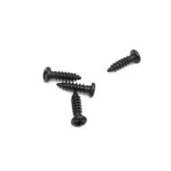 2mm Pan Head Zinc Plated Self-Tapping Screws (Pan Head Tapping Screw) 2mm Pan Head Zinc Plated Self-Tapping Screws (Pan Head Tapping Screw)