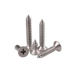 Stainless Steel Torx Head Self-Tapping Screw 5.5 Dia x 100mm 