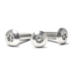 Torx Self-Tapping Gr5 Titanium M5 Screw - Pan Head, Stainless for Motorcycle Modification