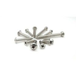 Nickel Steel Phillips Flat CSK Head Thread Forming Blunt Point Self-Tapping Screws Nickel Steel Phillips Flat CSK Head Thread Forming Blunt Point Self-Tapping Screws
