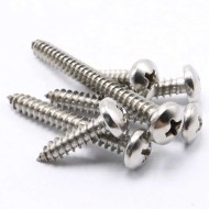 SS316/304 Stainless Steel Pan Head Self-Tapping Screws - M2 to M8 (100Pcs) SS316/304 Stainless Steel Pan Head Self-Tapping Screws - M2 to M8 (100Pcs)